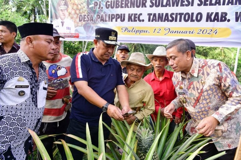 Desa Palippu Wajo Bakal Jadi Desa Percontohan Pengembangan Nanas di Sulsel