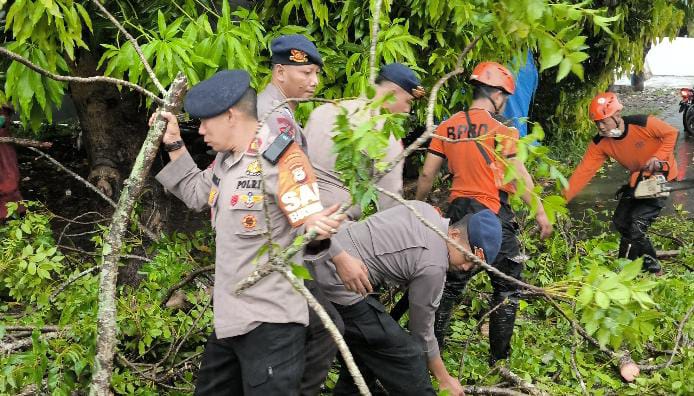 Gerak Cepat Brimob Sulsel dan BPBD Parepare Evakuasi Pohon Tumbang Akibat Cuaca Ekstrem
