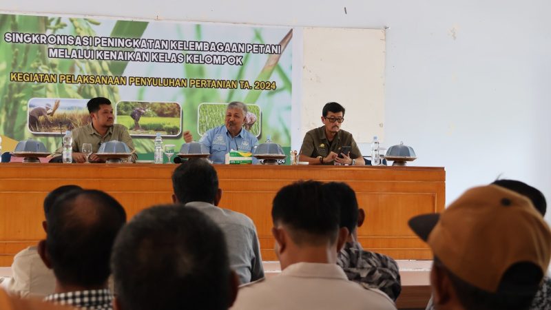 Bupati Pinrang Hadiri Kegiatan Penyuluhan Pertanian 2024, Beri Solusi Tingkatkan Hasil Produksi Petani