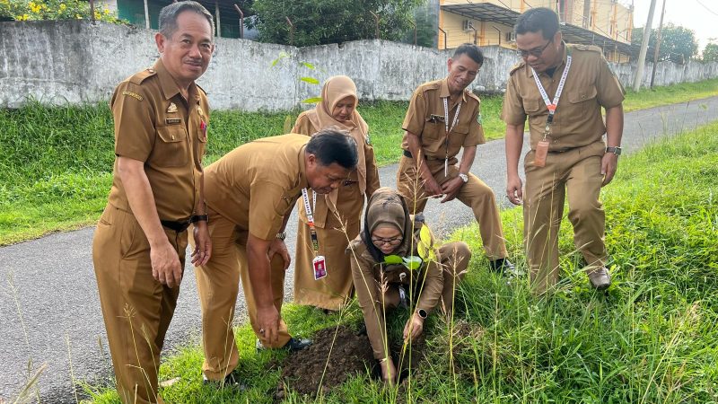 RSUD Andi Makkasau Parepare Peringati Hari Bumi Sedunia, Tanam 20 Bibit Mahoni dan 10 Ketapang Kencana
