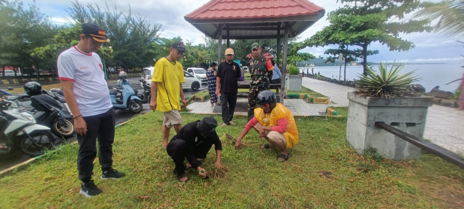 Sambut Hari Lingkungan Sedunia, Lingkar Hijau Tanam Pohon dan Bersihkan Pantai Mattirotasi