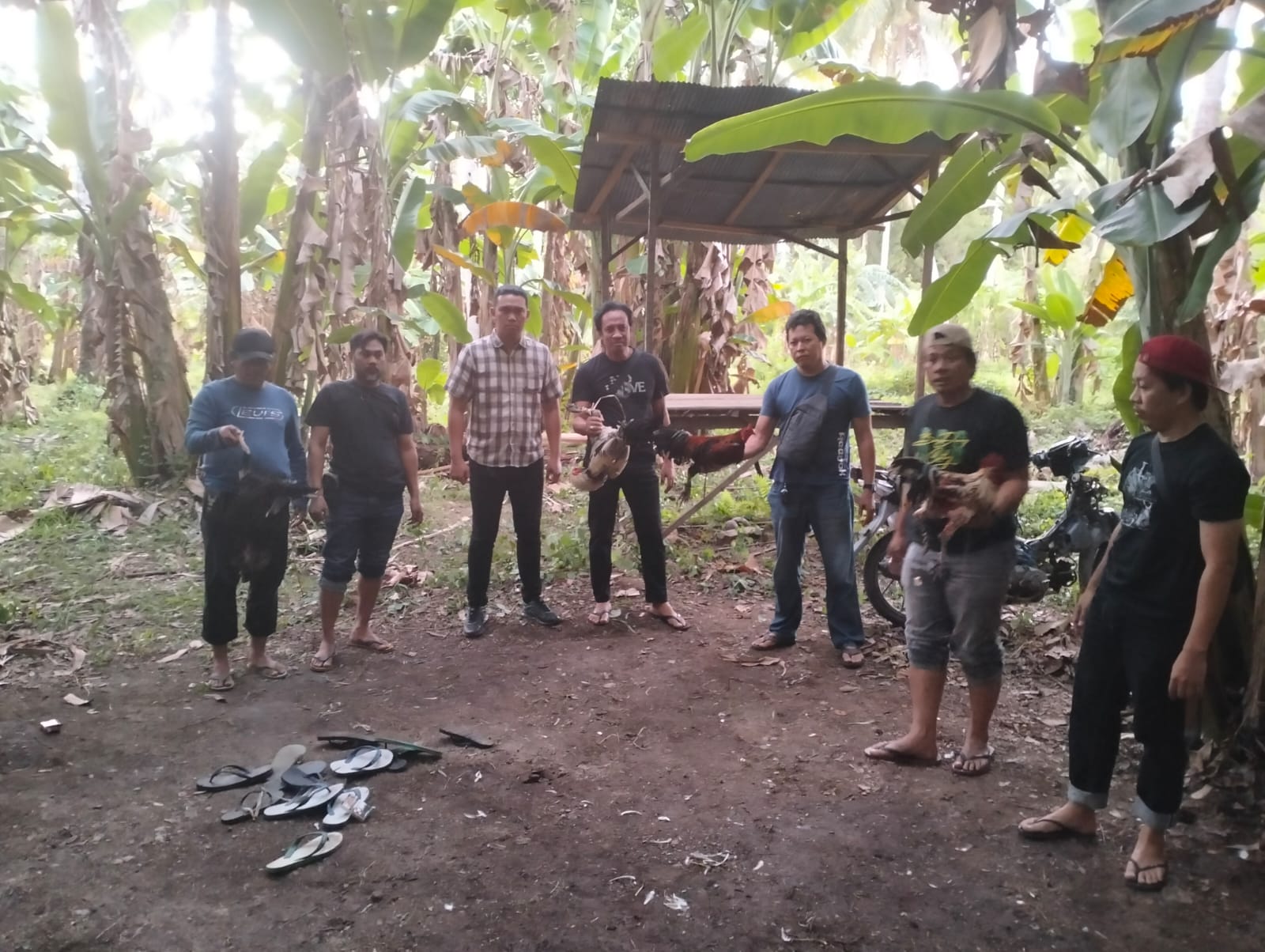 Polisi Amankan Barang Bukti Judi Sabung Ayam di Maccubbu