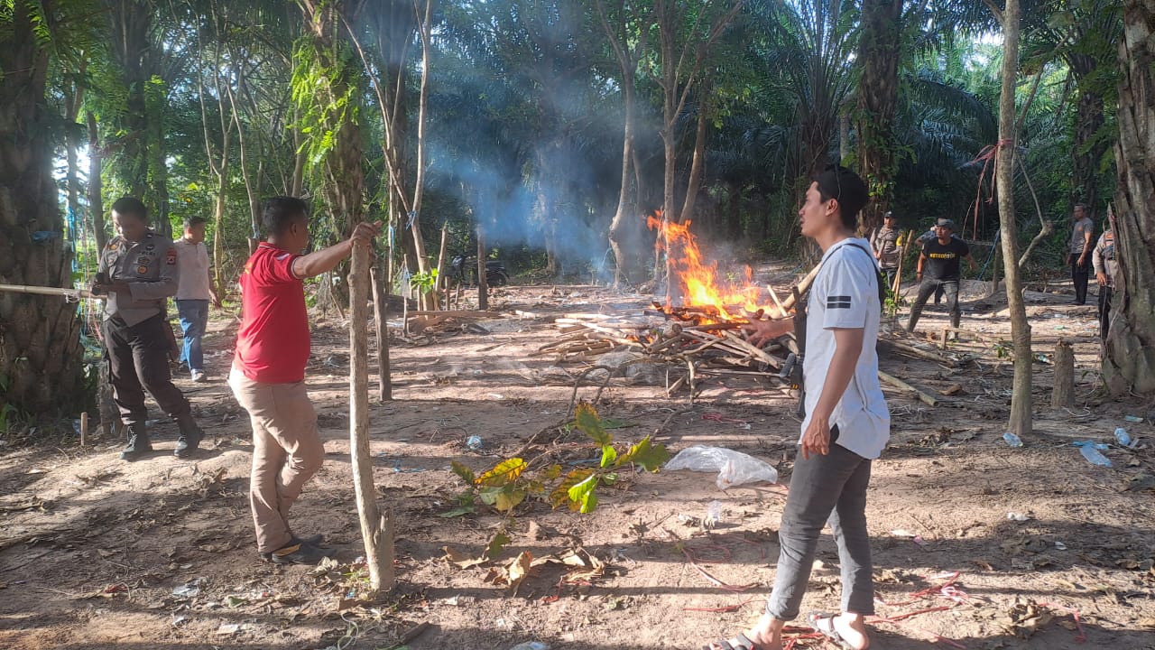 Polisi Obrak Abrik Arena Sabung Ayam di Patampanua Pinrang