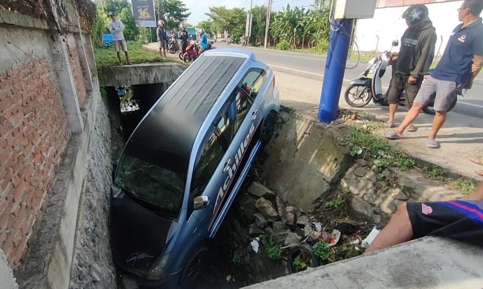 Minibus di Pinrang Terjun ke Selokan, Penyebabnya karena Hewan Ini