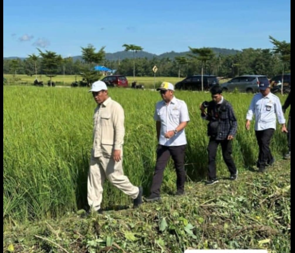 Mentan Amran Menelusuri Jaringan Irigasi di Konawe Demi Swasembada