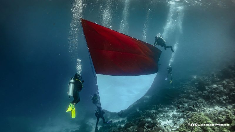 Pertamina Sulawesi Rayakan HUT RI ke 80, Bentangkan Bendera Merah Putih Terbesar di Bawah Laut