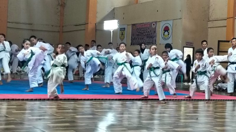 Ratusan Karateka Ikuti Gashuku Kenaikan Tingkat Kyu INKAI di Pinrang