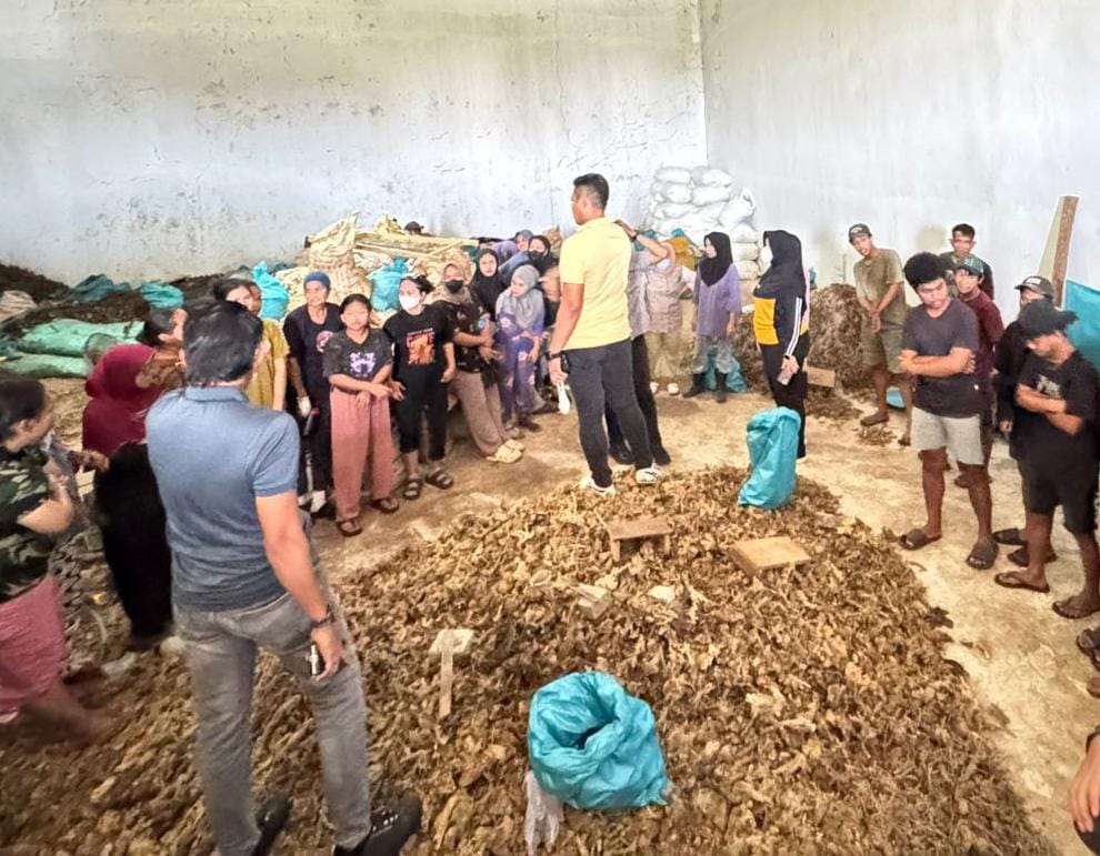 Bambu Laut Diamankan Tipidter Polda Sulsel, Satu Tersangka Asal China DPO