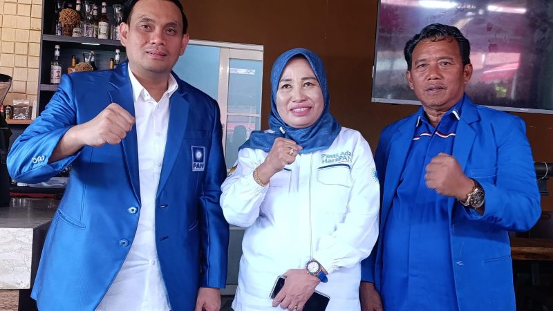 Hermanto Terpilih Ketua DPD PAN Parepare Gantikan Musdalifah Pawe