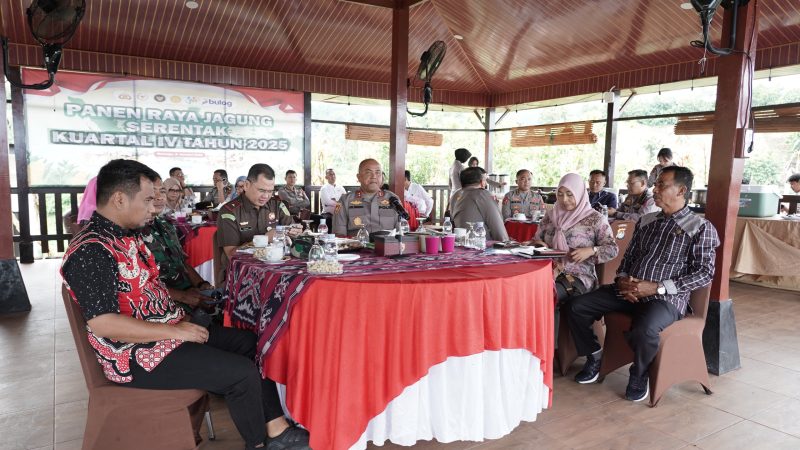 Panen Raya Jagung Serentak Libatkan 3.616 Petani, Perkuat Ketahanan Pangan