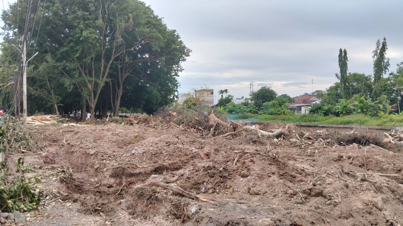 Hutan Kota di Pinrang Dibabat Demi Mendirikan Koperasi Merah Putih