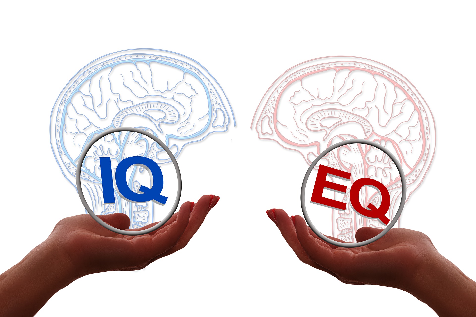 Inilah 7 Ciri-Ciri Orang dengan IQ Rendah