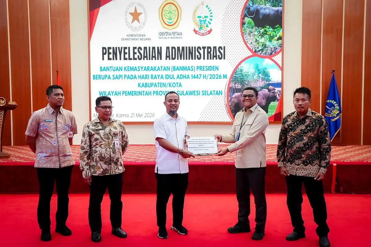 Sulsel Dapat 25 Sapi Kurban dari Presiden Prabowo Subianto, Beratnya Capai Lebih 1 Ton