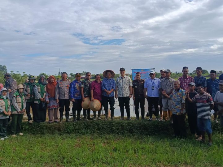 Pemkab Pangkep Gelar Tanam Perdana Padi Pola Pertanian Modern
