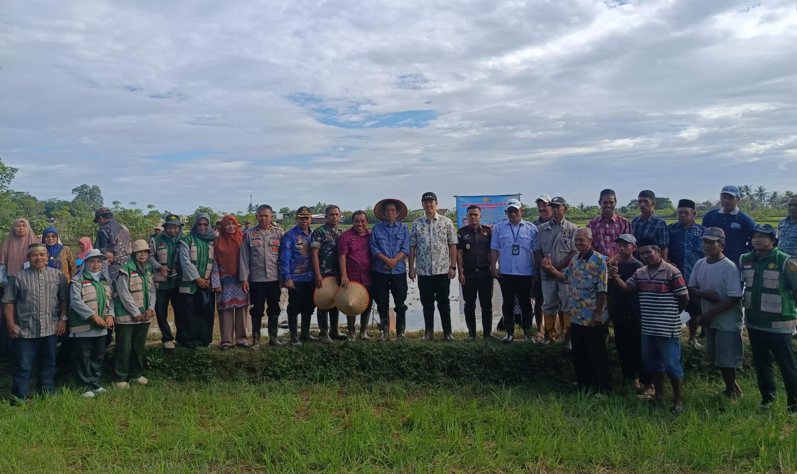 Pemkab Pangkep Gelar Tanam Perdana Padi Pola Pertanian Modern