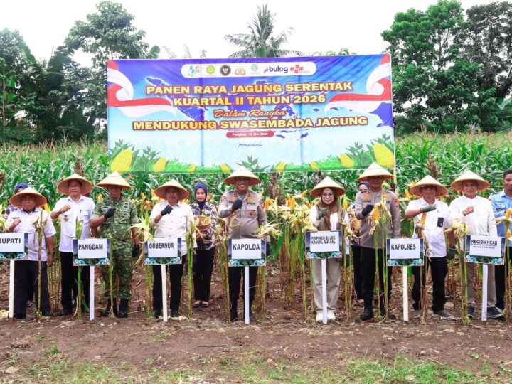 Panen Raya Jagung Serentak, Kapolda Sulsel Dorong Ketahanan Pangan Nasional di Pangkep