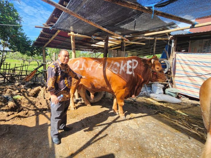 Dinas Pertanian Pangkep Pastikan Hewan Kurban Sehat
