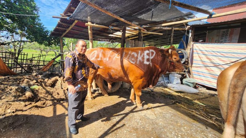 Dinas Pertanian Pangkep Pastikan Hewan Kurban Sehat