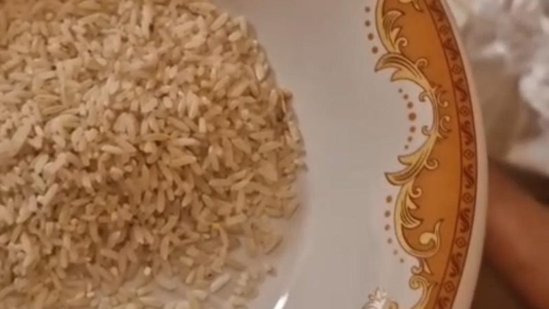 Bantuan Beras Bapanas di Pinrang Berkutu-Tak Layak Konsumsi