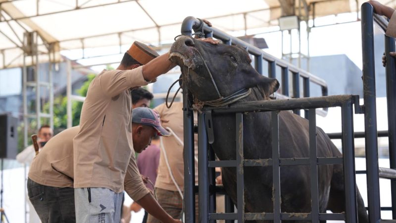 Pertamina Sulawesi Tebar Ribuan Paket Daging Kurban di Berbagai Wilayah Operasi