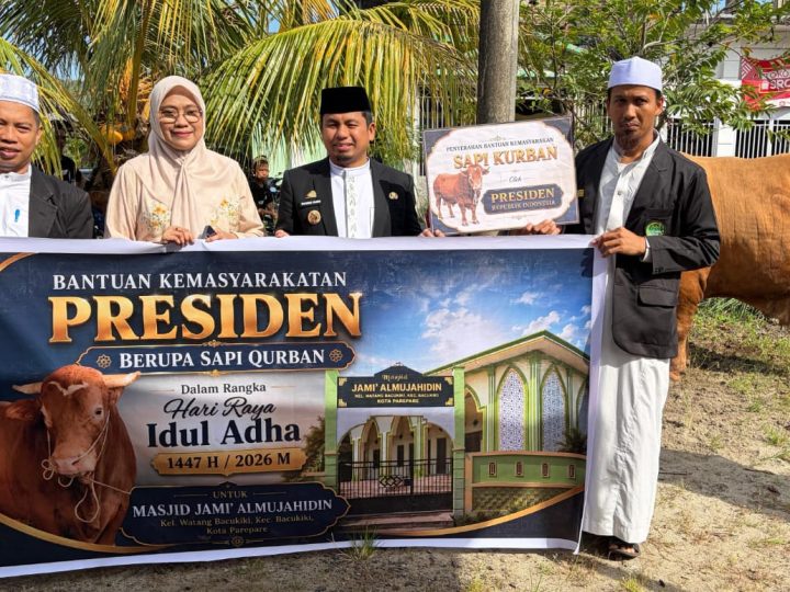 Warga Pelosok Parepare Rasakan Manfaat Sapi Kurban Presiden Prabowo