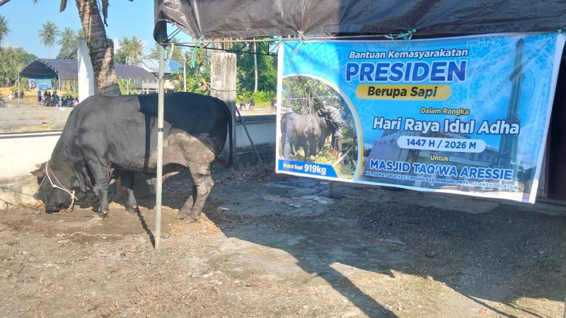 Daging Sapi Bantuan Presiden Prabowo Dibagikan di Tiroang Pinrang