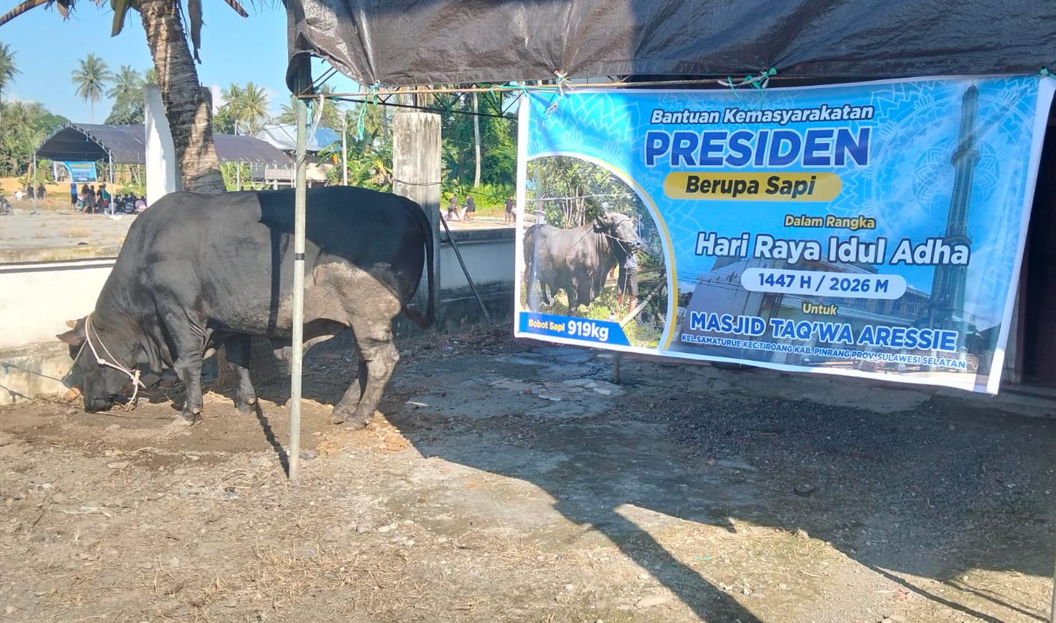 Daging Sapi Bantuan Presiden Prabowo Dibagikan di Tiroang Pinrang
