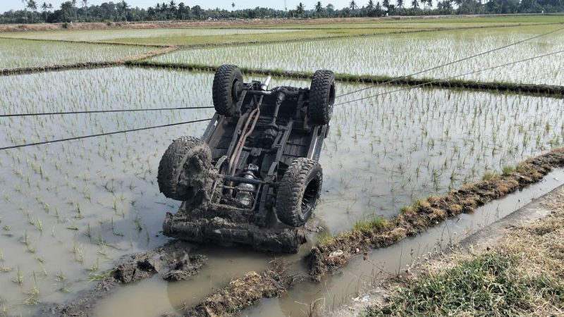 Dua Minibus di Pinrang Terjun ke Sawah