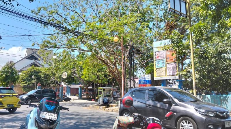 KOAR Desak PLN Pinrang Tertibkan Kabel Listrik di Tengah Kota